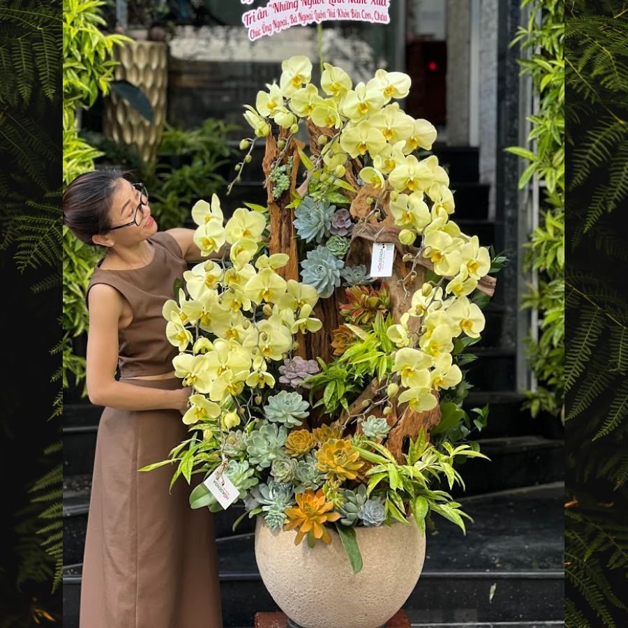 Chậu Lũa Hồ Điệp Vàng Trồng Với Sen Đá - Quà Mừng Khai Trương Độc Lạ