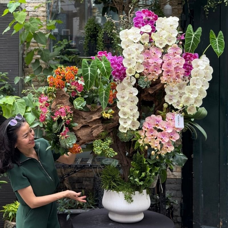 Lũa Lan Hồ Điệp Dáng Bonsai - Quà Tặng Sinh Nhật Sếp Nam Nữ Vip