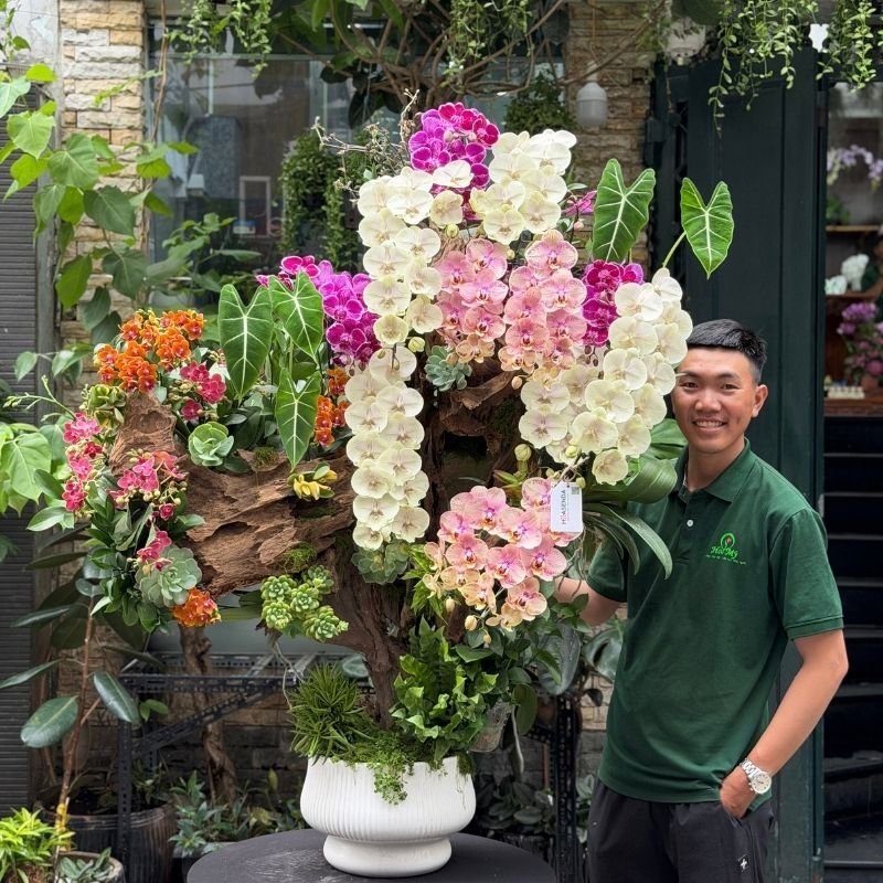 Lũa Lan Hồ Điệp Dáng Bonsai - Quà Tặng Sinh Nhật Sếp Nam Nữ Vip 2