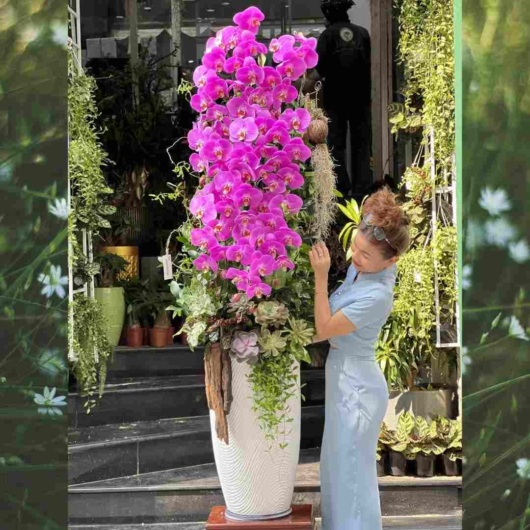 Gỗ Lũa Hoa Lan Hồ Điệp Decor Sen Đá - Bình Dáng Cao Thanh Tao 2