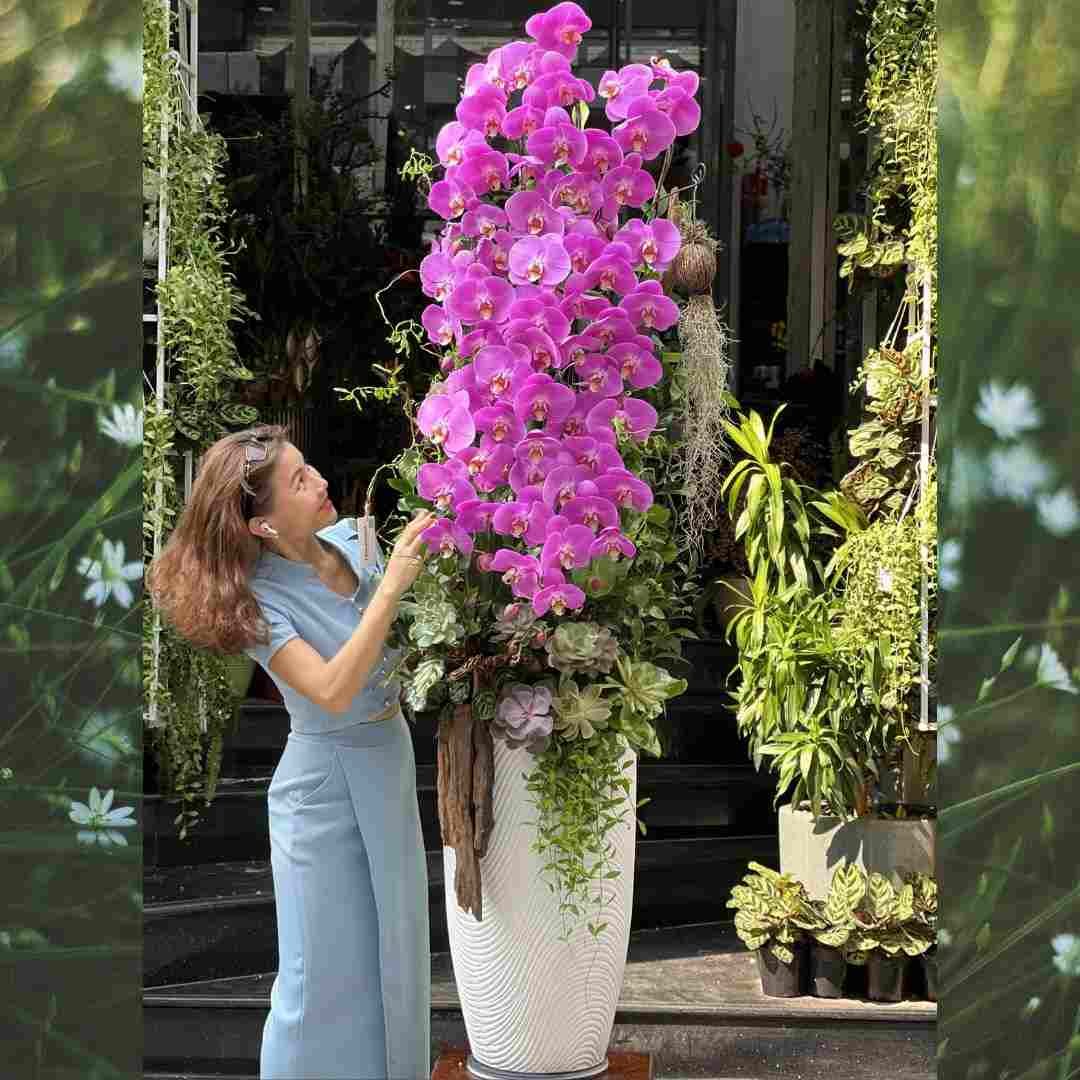 Gỗ Lũa Hoa Lan Hồ Điệp Decor Sen Đá - Bình Dáng Cao Thanh Tao