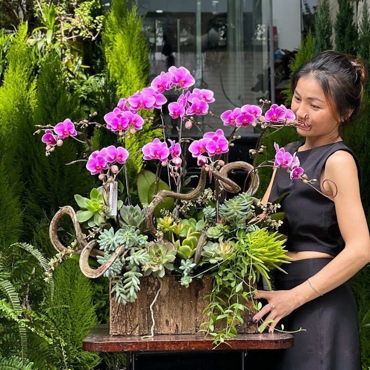Chọn Quà Mừng Tân Gia Nhà Mới Từ Hoa Lan Hồ Điệp Mix Sen Đá