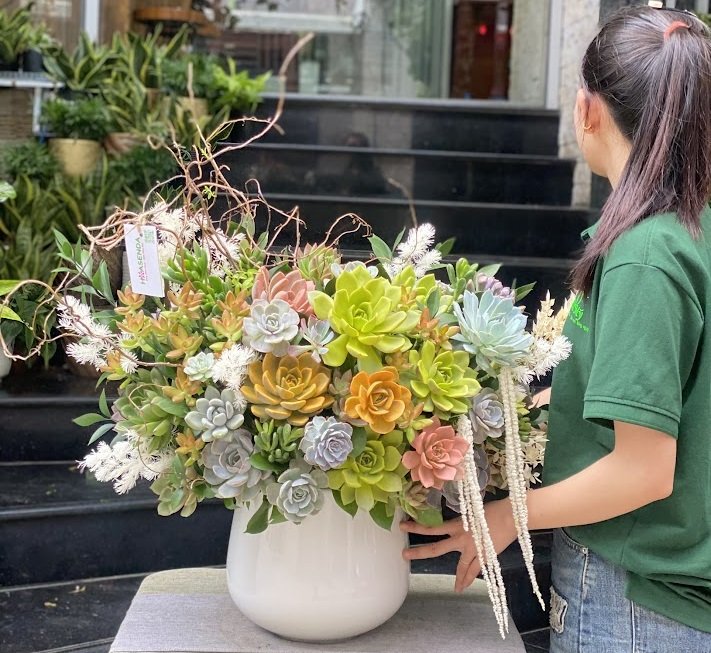 Bình Hoa Sen Đá Decor Quà Tặng Thầy Cô Hiệu Trưởng Ý Nghĩa