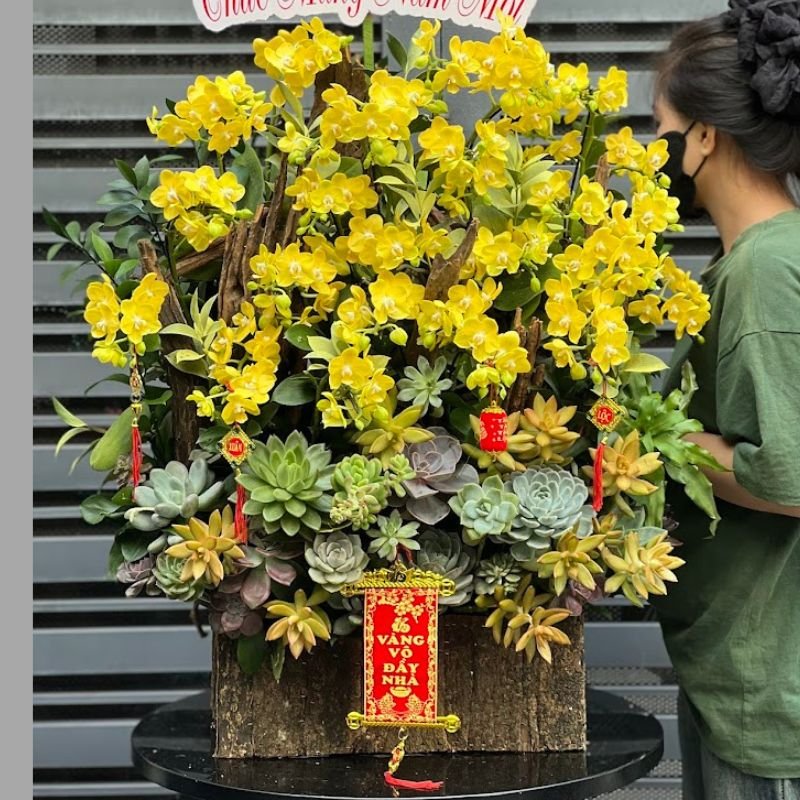 Hộp Gỗ Lan Hồ Điệp Mini Vàng Mix Hoa Sen Đá Tươi Đẹp Bền Lâu