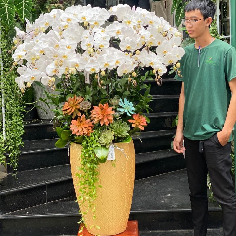 Bình Lan Hồ Điệp Mix Sen Đá Cam Hoành Tráng Sang Trọng