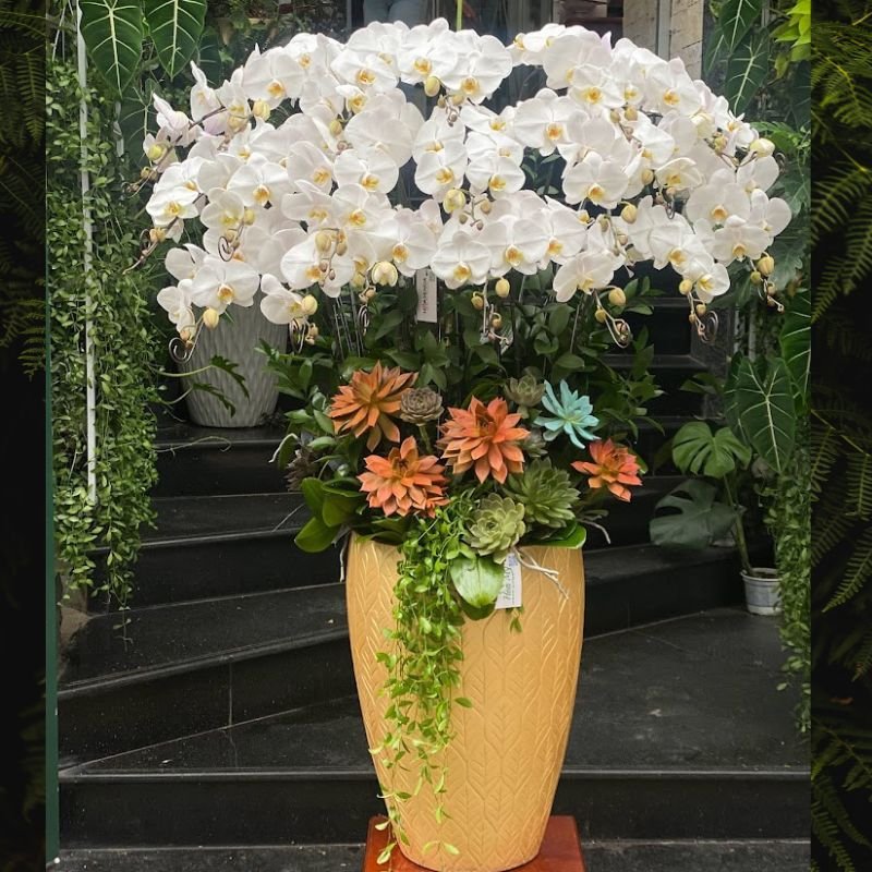 Bình Lan Hồ Điệp Mix Sen Đá Cam Hoành Tráng Sang Trọng 2