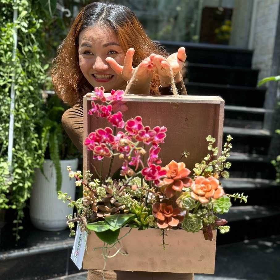 Lẵng Hồ Điệp Mini Mix Hoa Sen Đá Cực Kỳ Độc Đáo Sáng Tạo 3