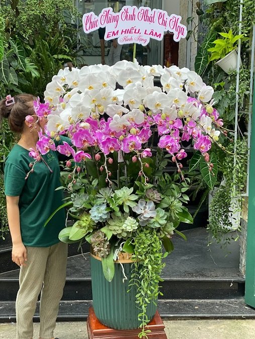 Bình Hoa Lan Mix Sen Đá Khổng Lồ Chưng Đại Sảnh Siêu Sang 2