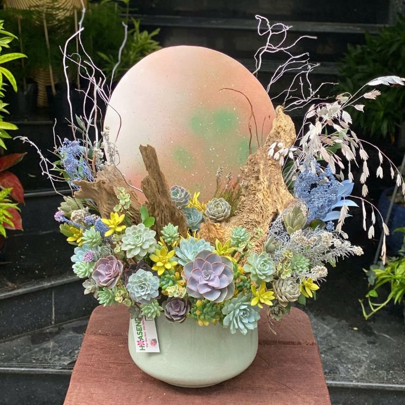 Chậu Hoa Sen Đá Decor - Quà Tặng Nhân Viên Ý Nghĩa 2