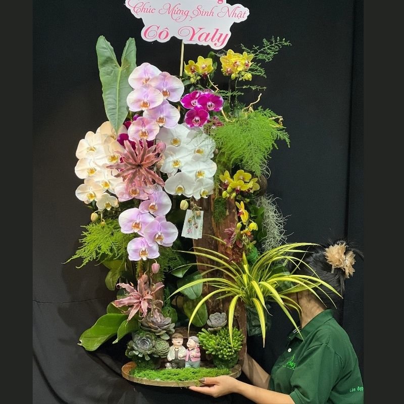 Tiểu Cảnh Lan Hồ Điệp Mix Sen Đá Cây Xanh: Hoa Sinh Nhật Mới Lạ