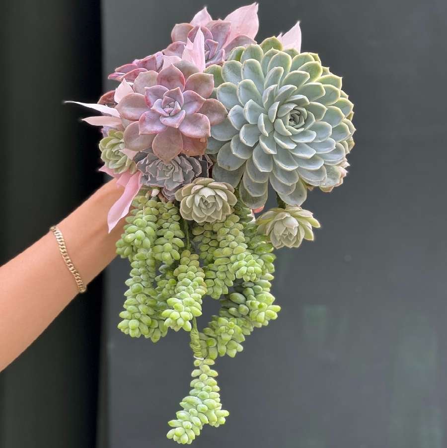 Hoa Cưới Để Bàn, Hoa Cô Dâu Với Hoa Sen Đá Decor 3