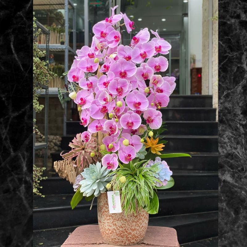 Bình Gỗ Lũa Lan Hồ Điệp Hồng Mix Sen Đá, Dứa Nam Mỹ Sang Trọng, Tươi Lâu 2