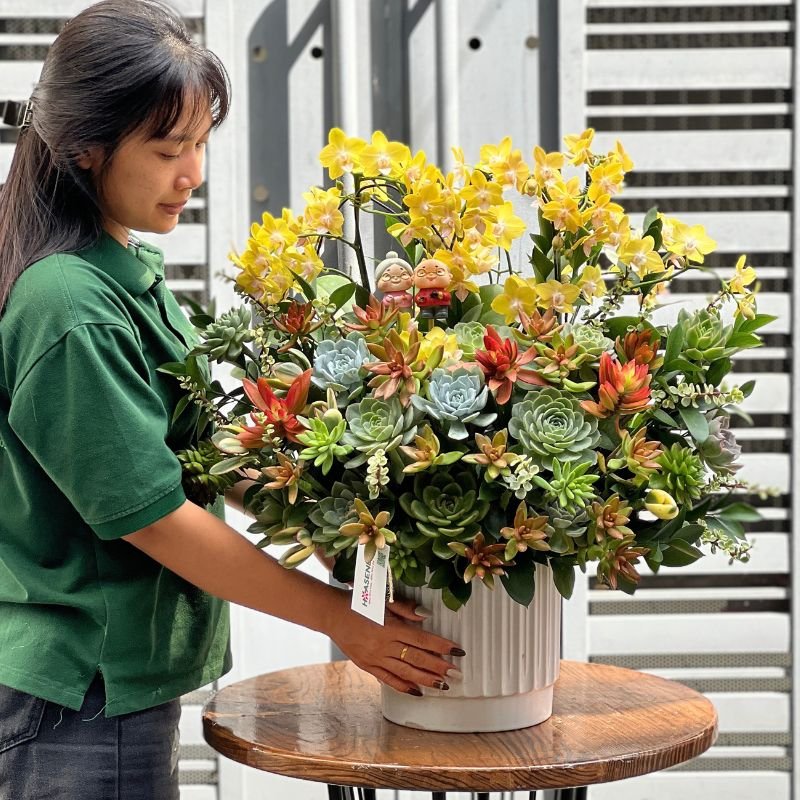 Lẵng Hoa Sen Đá Và Hồ Điệp-Hoa Tươi 8 3 Trưng 2-7 Tuần