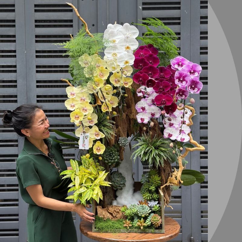 Hoa Tất Niên: Tiểu Cảnh Lan Hồ Điệp Lộc Phát 2