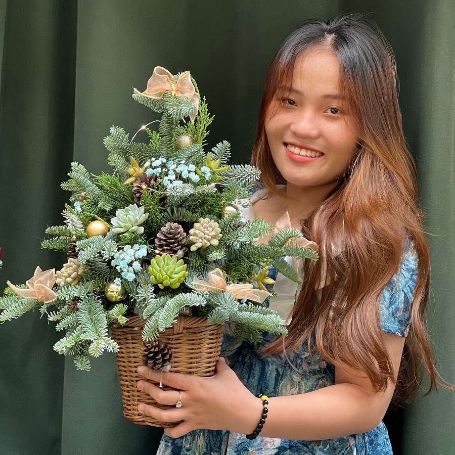 Cây Thông Thật Nhập Khẩu Mix Cùng Sen Đá Tươi Cực Lâu 2