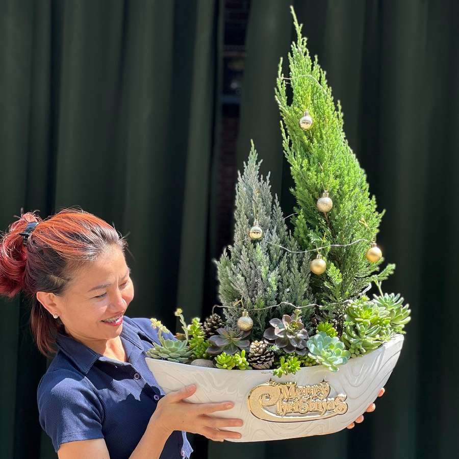 Quà Tặng Noel Độc Lạ: Tiểu Cảnh Sen Đá Mix Cây Thông 2