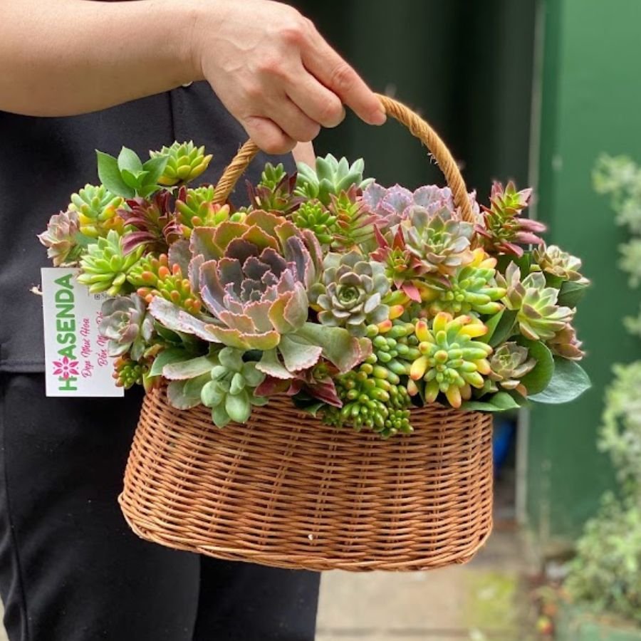 Tặng Quà Sinh Nhật Cho Khách Hàng Năm Với Giỏ Sen Đá