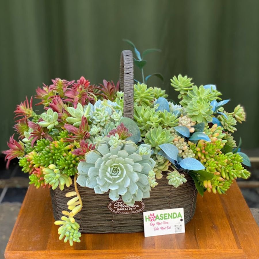 Tặng Quà Sinh Nhật Cho Khách Hàng-Sen Đá Decor Phong Thủy