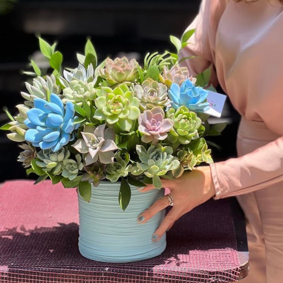 Hoa Sen Đá Đẹp - Giỏ Hoa Sen Đá Tặng Sinh Nhật, Khai Trương Tươi 30 Ngày