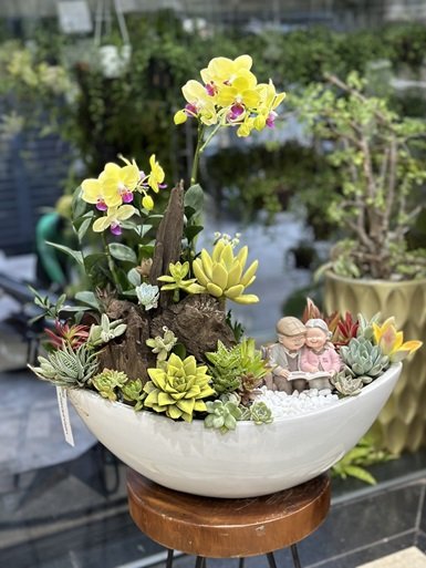 Quà Tặng Khách Hàng Độc Lạ Với Tiểu Cảnh Sen Đá và Lan Hồ Điệp 3