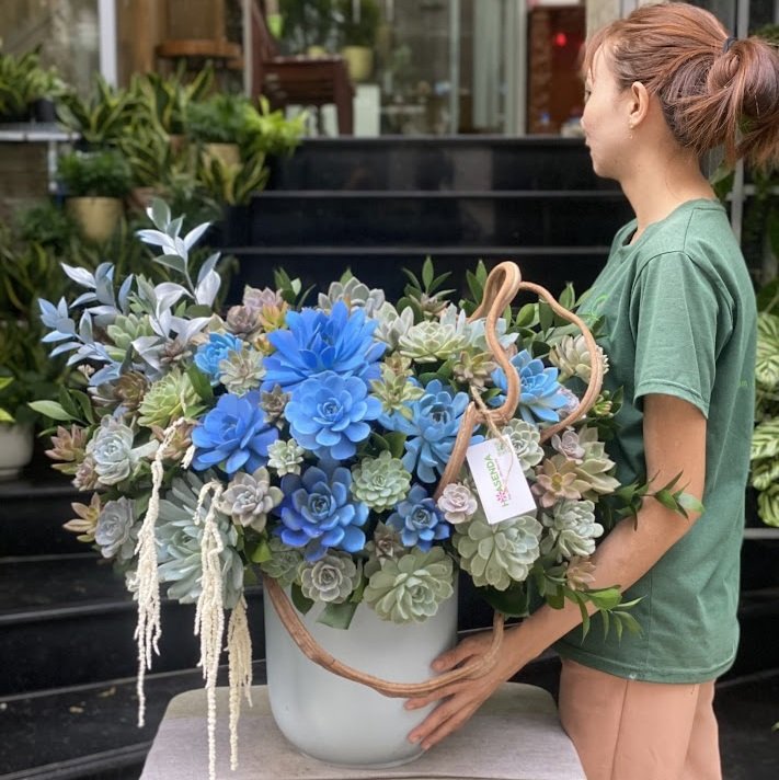 Top 2 Lẵng Hoa Khai Trương TPHCM Sen Đá Decor Hot Trend