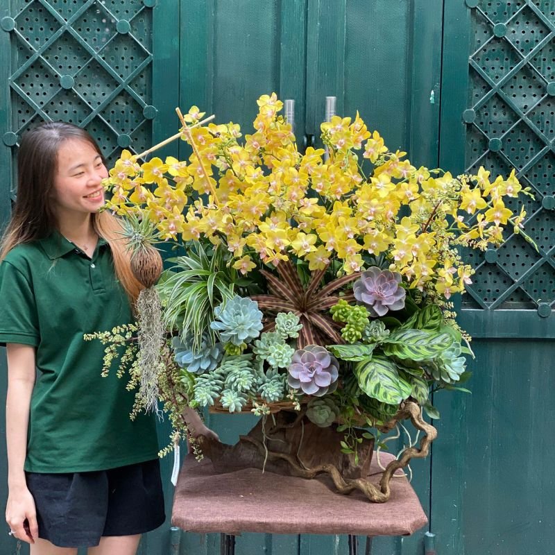 Gỗ Lũa Lan Mini Vàng Mix Sen Đá - Hoa Khai Trương Cửa Hàng