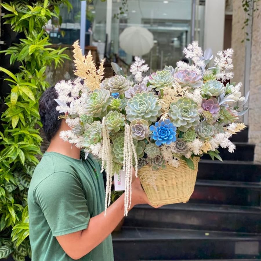Lẵng Hoa Mừng Khai Trương Đẹp Sen Đá Mua Ở Đâu Uy Tín?
