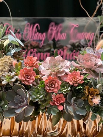 Cách Chọn Lãng Hoa Mừng Khai Trương Sen Đá Tăng Tài Lộc 2