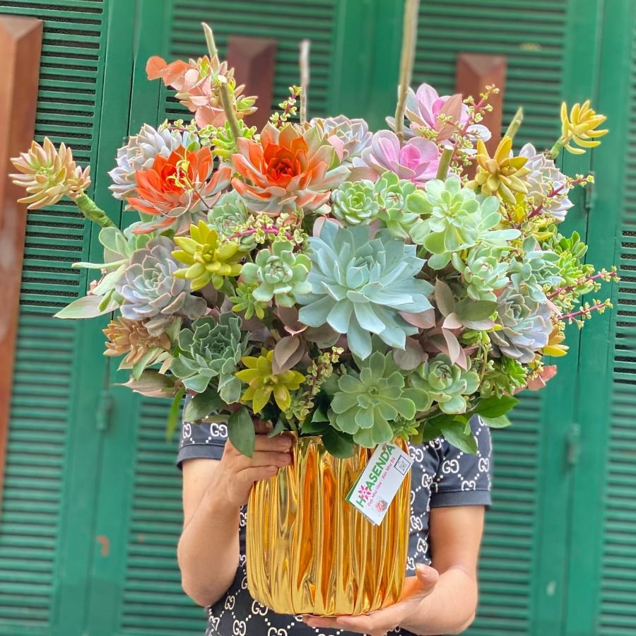 Cách Chọn Hoa Chúc Mừng Sinh Nhật Vợ Yêu-Bình Hoa Sen Đá Cao Cấp