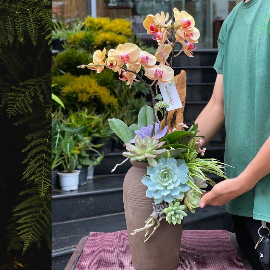 Hoa Chúc Mừng Sinh Nhật Chị Gái, Em Gái, Bạn Gái Với Bình Sen Đá 2