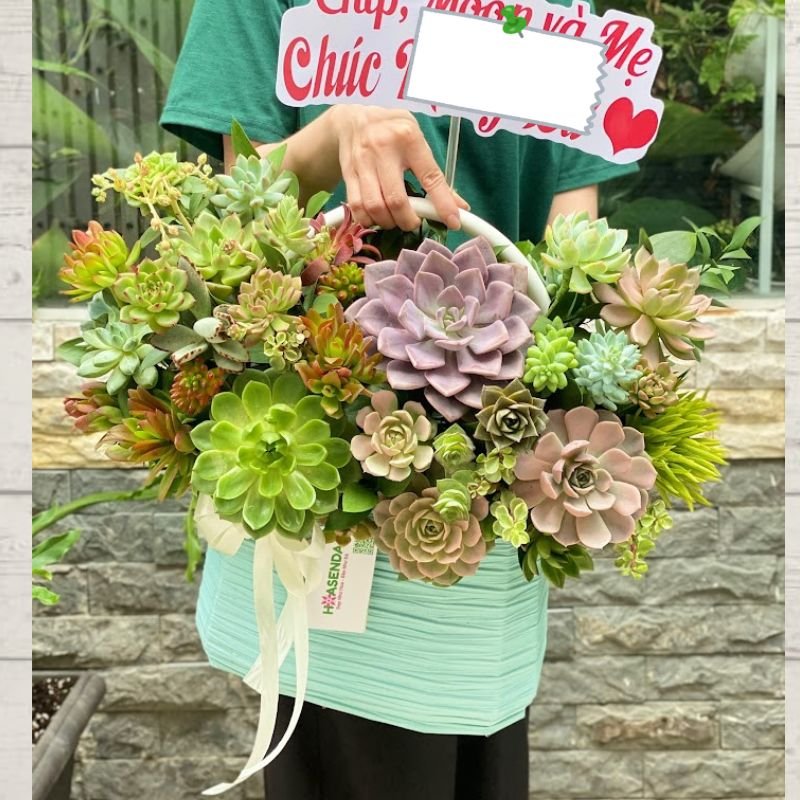 Chọn Hoa Chúc Mừng Sinh Nhật Bạn Trai Mới Lạ Với Giỏ Hoa Sen Đá Độc Đáo