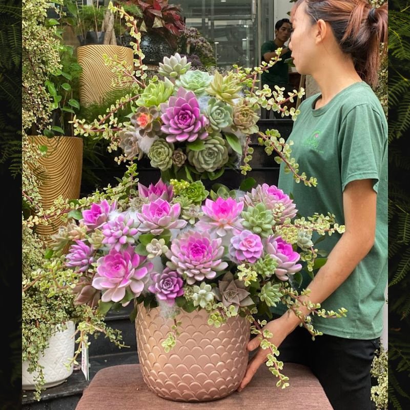Lẵng Hoa Khai Trương Đẹp Sen Đá “Vững Như Bàn Thạch”