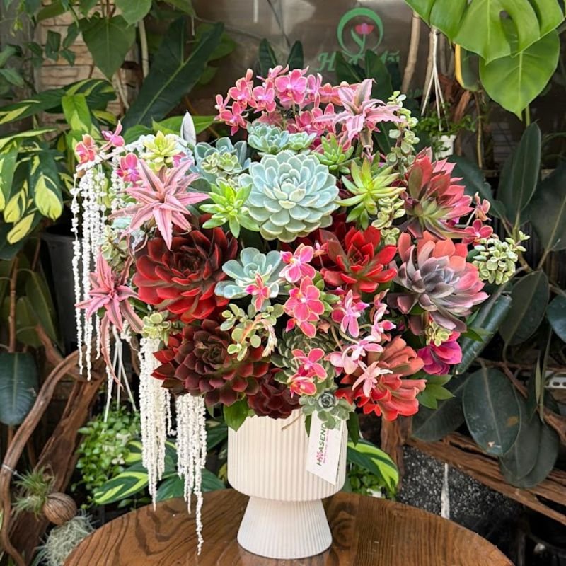 Lẵng Hoa Chúc Mừng Khai Trương: Bình Hoa Sen Đá Đỏ Mix Lan Mini Đỏ 3