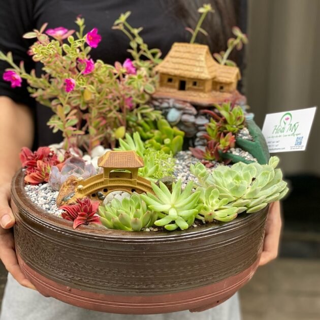 Mẫu Hoa Khai Trương Đẹp, Sang Trọng Từ Sen Đá Tiểu Cảnh