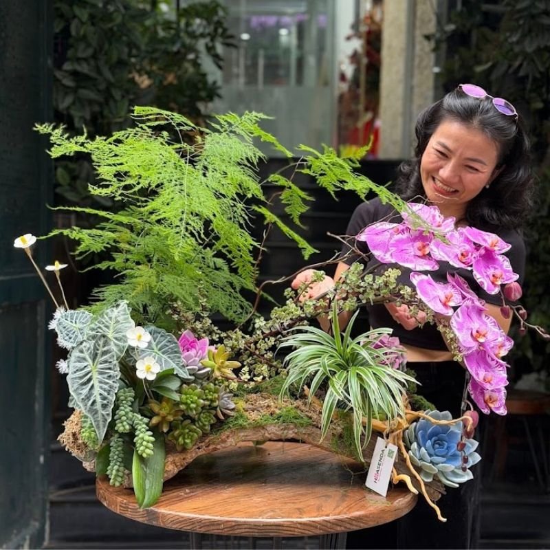 Lẵng Hoa Khai Trương Từ Lũa Lan Hồ Điệp Mix Sen Đã Tiểu Cảnh