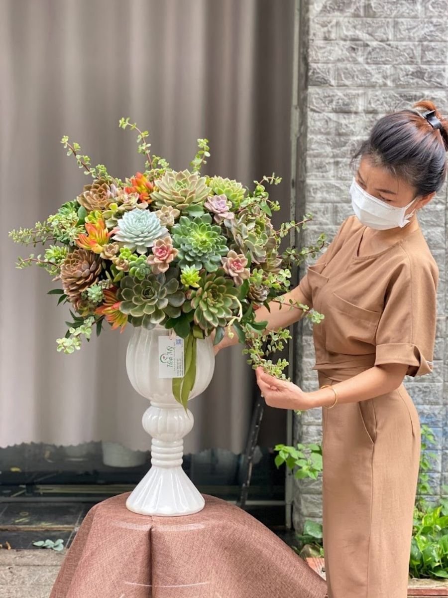 Hoa Chúc Mừng Khai Trương Sen Đá Ý Nghĩa Và Độc Đáo