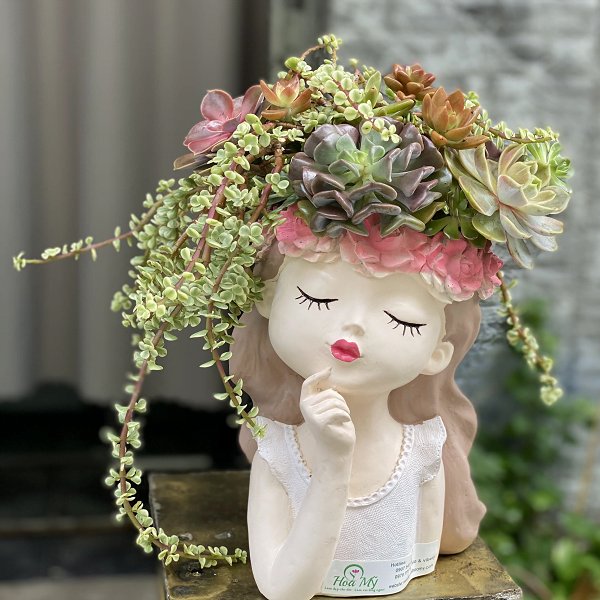 Mua Hoa Sinh Nhật Đẹp Bằng Sen Đá Ở Đâu?