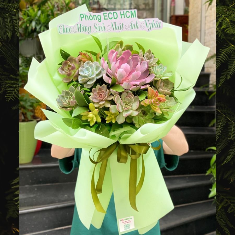 Hoa Mừng Sinh Nhật Đẹp: Bó Hoa Sen Đá Tươi Lâu 1 Tháng