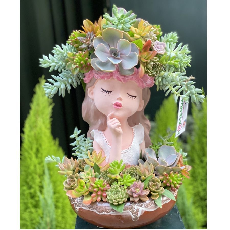 Hoa Sinh Nhật Sang Chảnh: Bình Hoa Sen Đá Cô Gái Đẹp