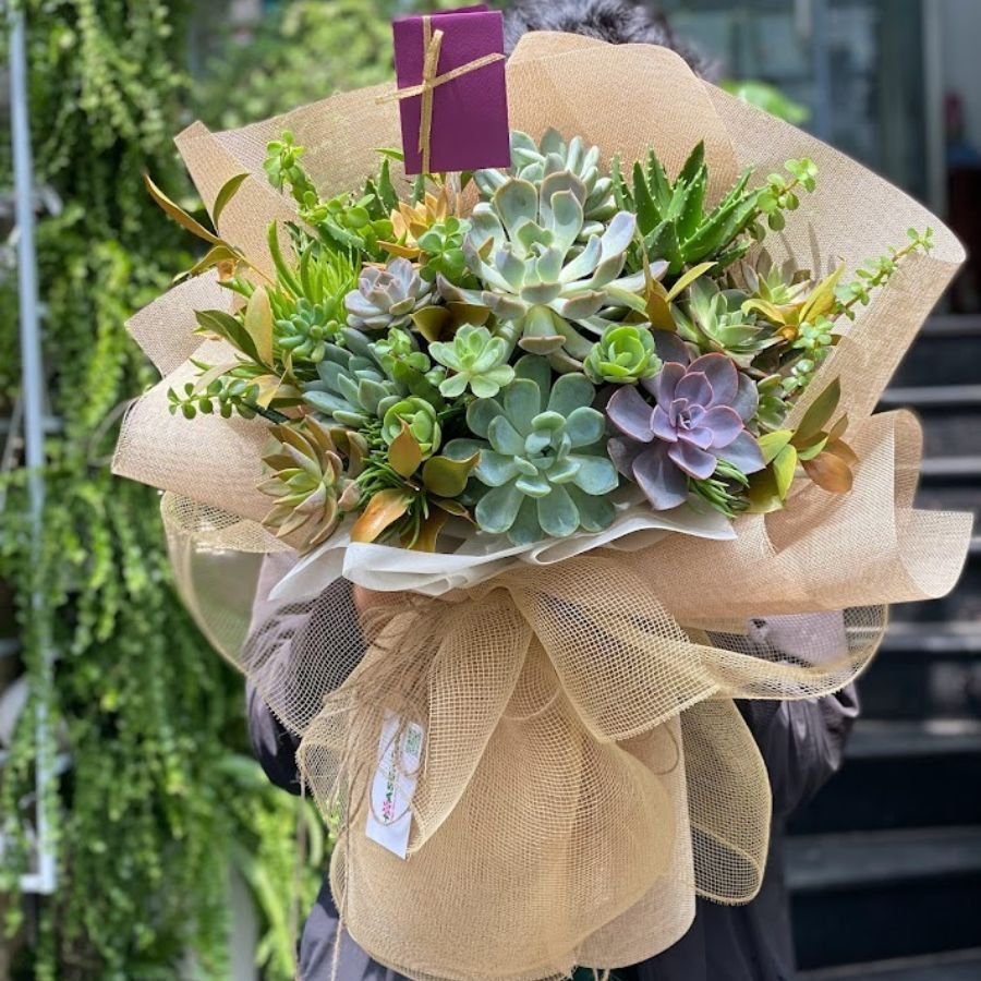 Bó Hoa Chúc Mừng Sinh Nhật Đẹp Từ Hoa Sen Đá Tươi Lâu