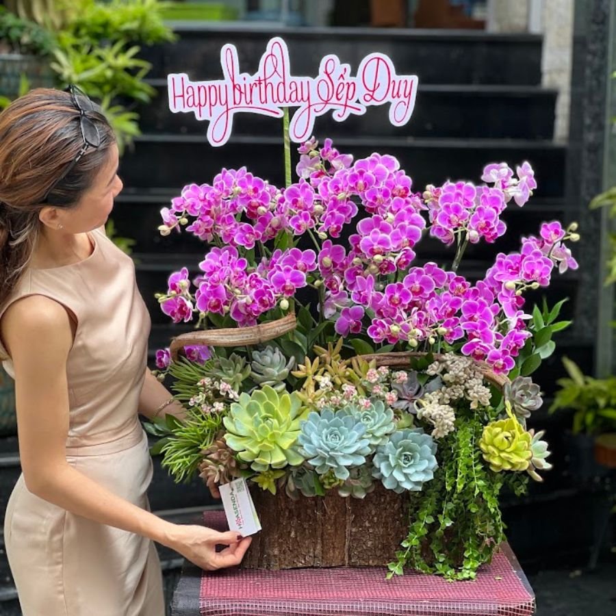 Giỏ Hoa Sinh Nhật Bằng Sen Đá Mix Hoa Lan Hồ Điệp Hồng