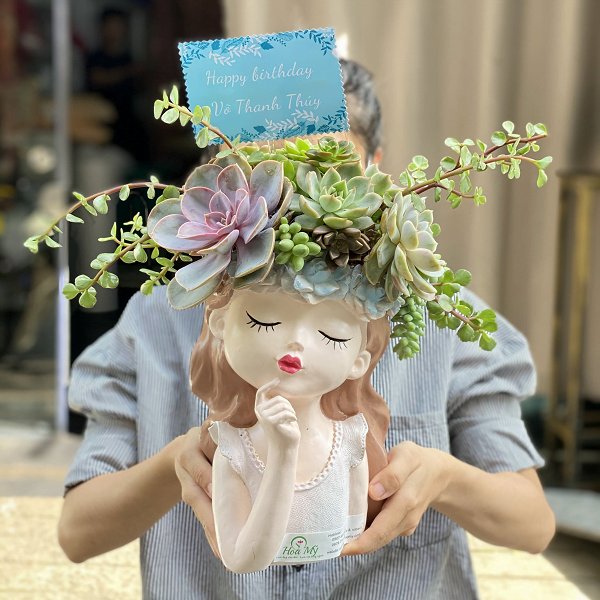 Xu Hướng Chọn Hoa Mừng Sinh Nhật Bằng Sen Đá