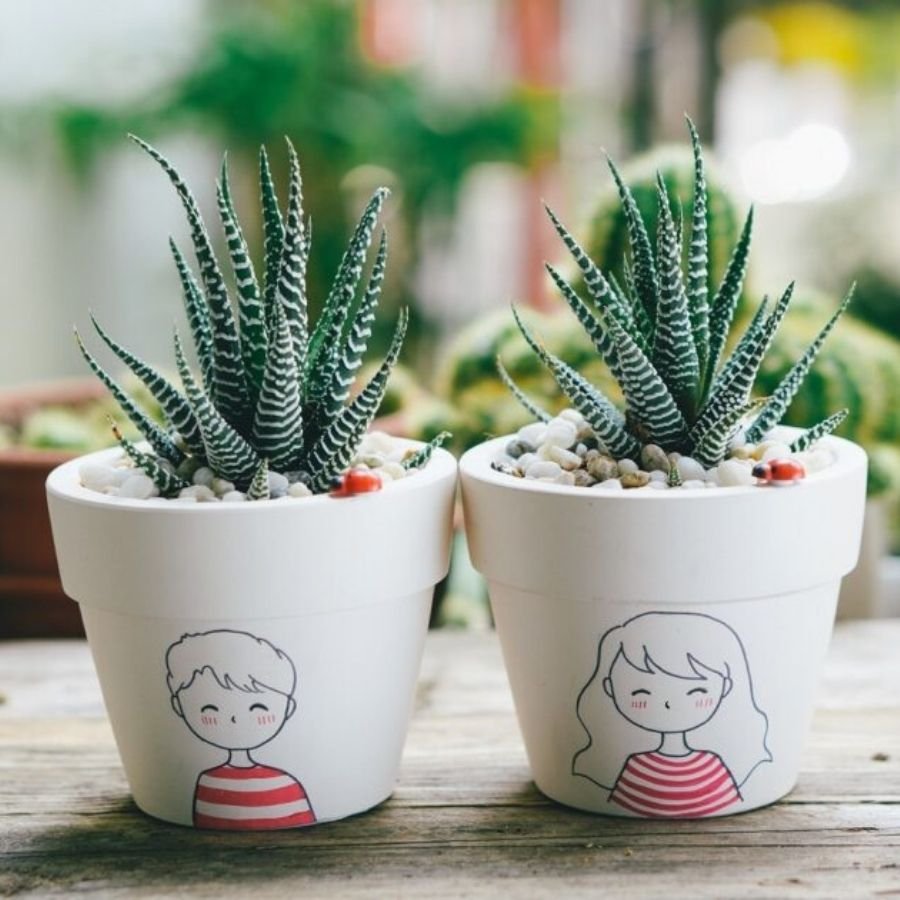 Sen Đá Móng Rồng: Cái Tên Nói Lên Quyền Lực 3