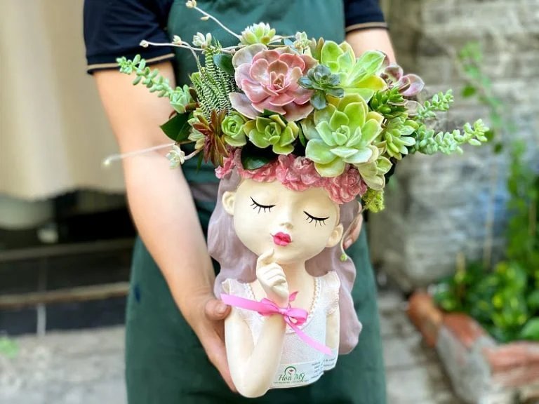 Hoa Chúc Mừng Sinh Nhật Chị Gái Với Cây Sen Đá Đẹp Độc Đáo