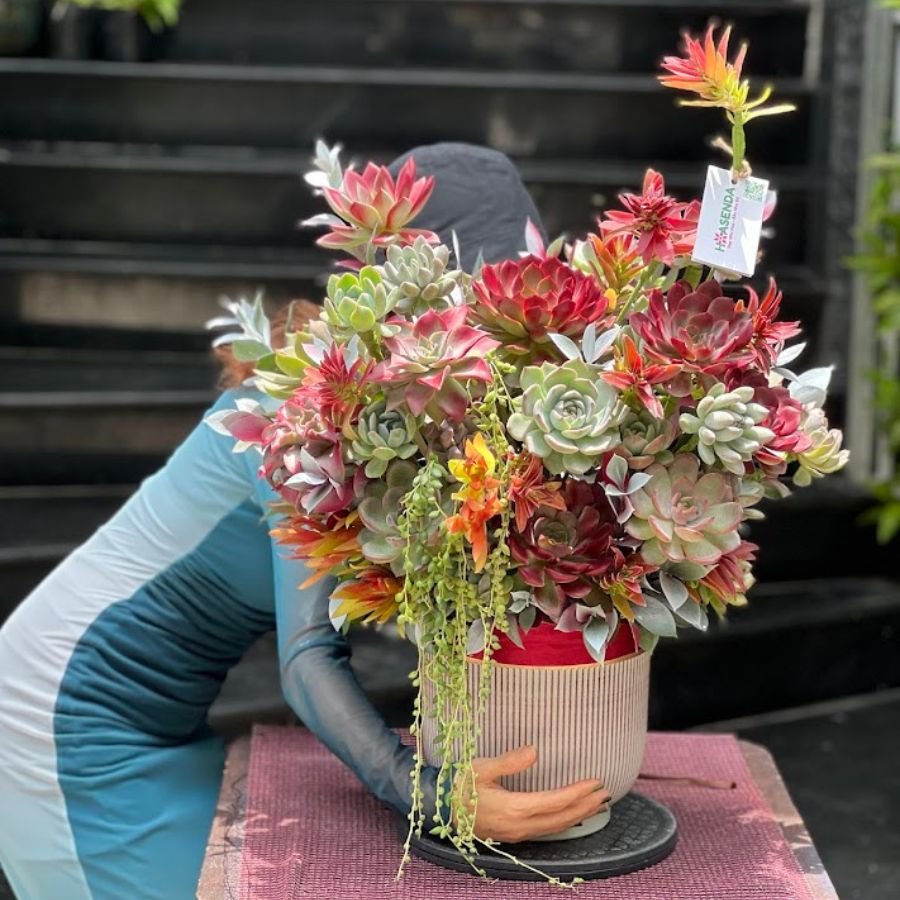 Bình Hoa Sen Đá Độc Đáo - Hoa Khai Trương Để Bàn 2