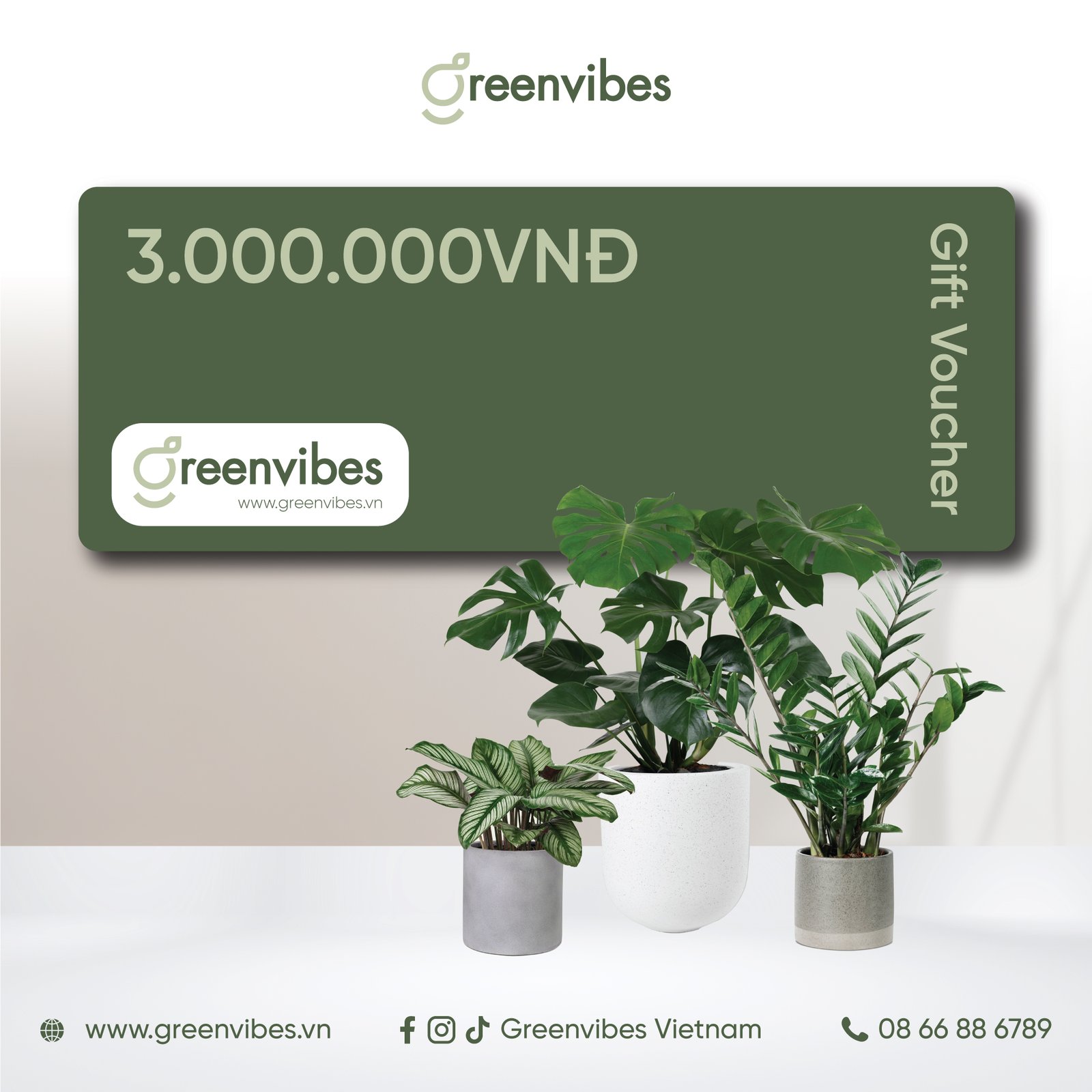Gift Voucher 3000k Greenvibes