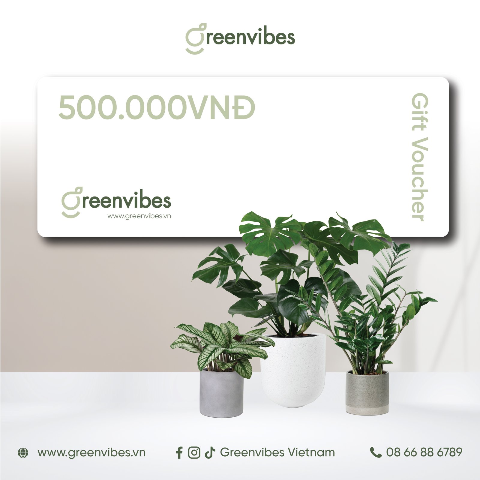 Gift Voucher 500k Greenvibes