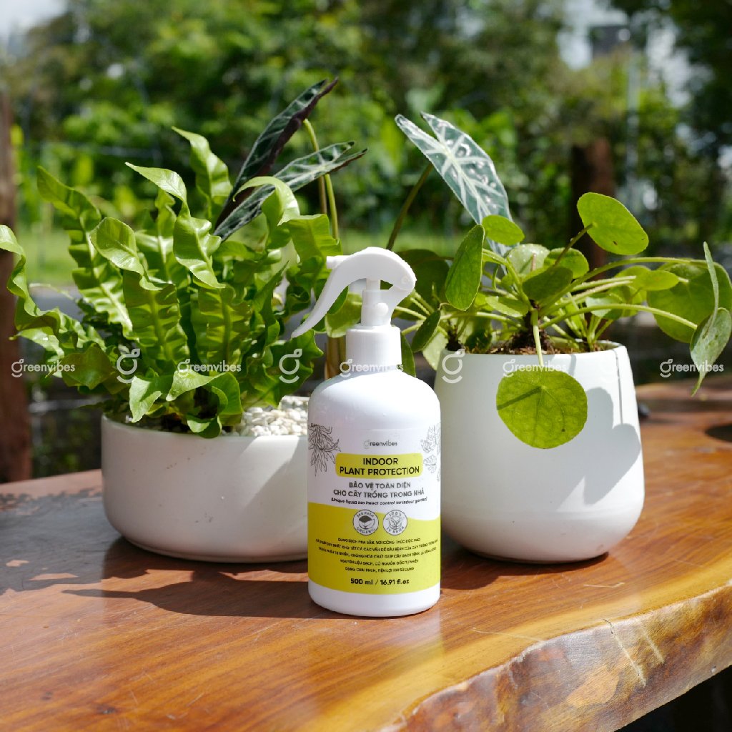 Dinh dưỡng hoà tan bảo vệ toàn diện cho cây trồng trong nhà INDOOR PLANT PROTECTION