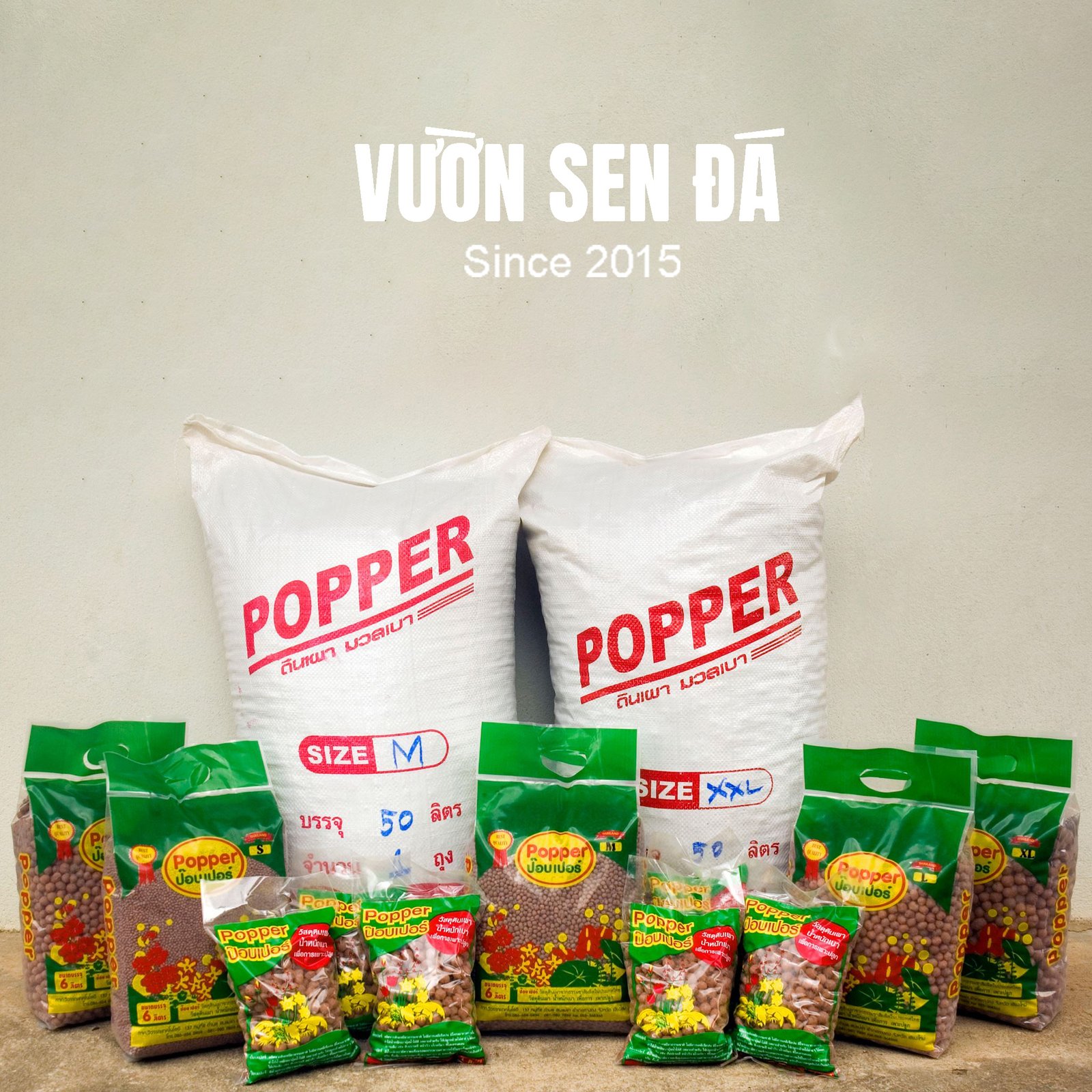 Đất sét nung Popper Thái Lan siêu nhẹ (1 lít) - Vườn sen đá 3