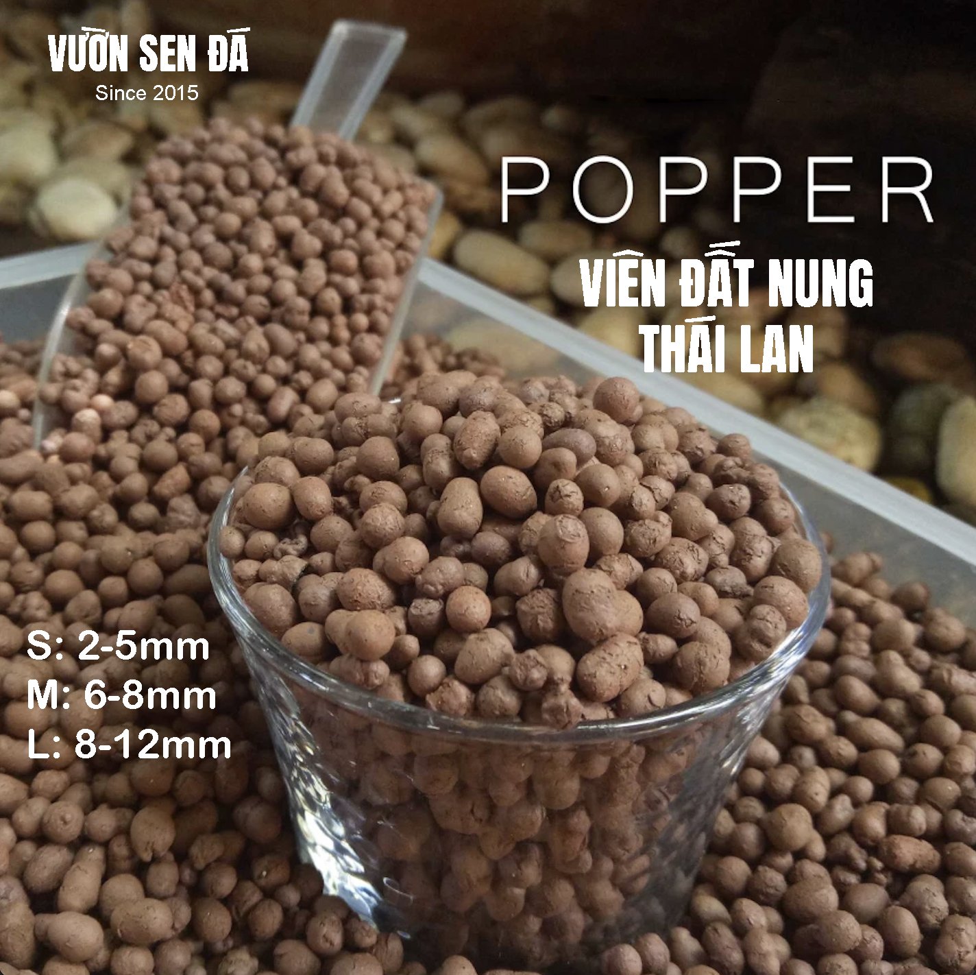 Đất sét nung Popper Thái Lan siêu nhẹ (1 lít) - Vườn sen đá